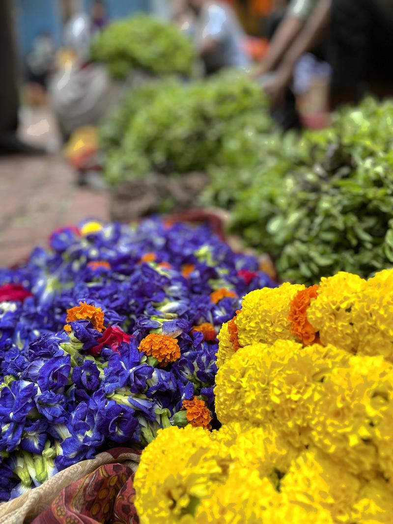 Les fleurs en Inde, plus qu’une simple expression de beauté et de couleur