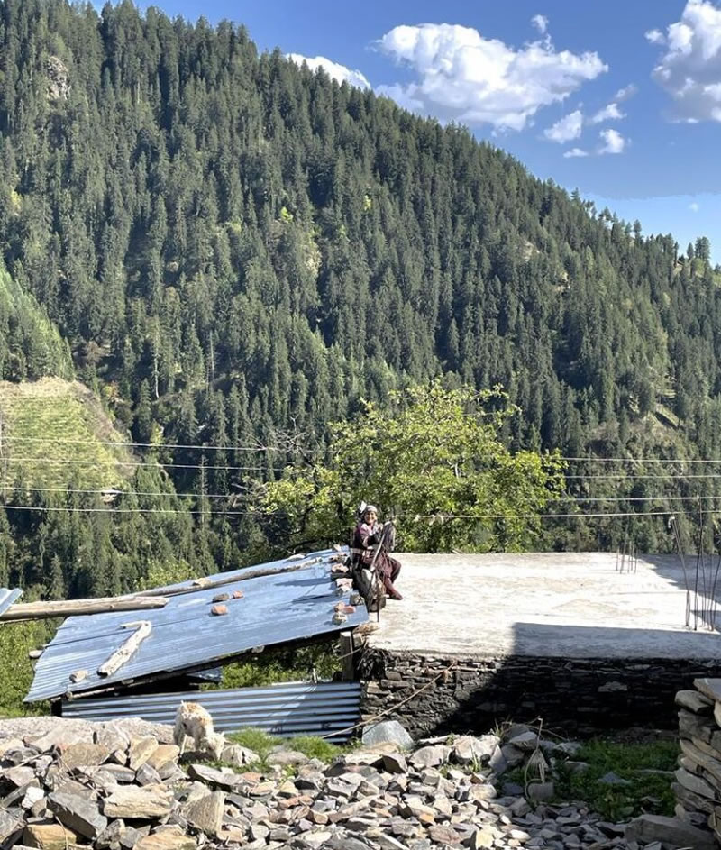 Shimla, cernée de cèdres, grandioses !